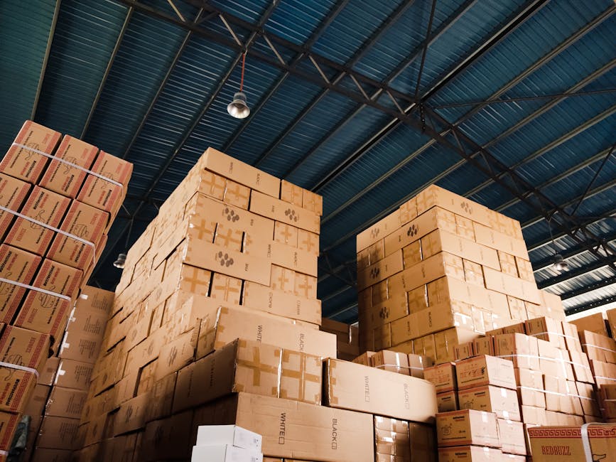 Storage Unit Auctions: A Reseller's Guide to Bidding Smart